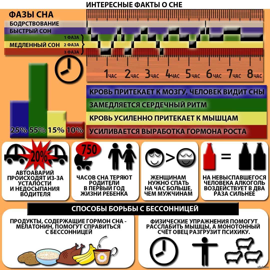Интересные факты о сне картинки