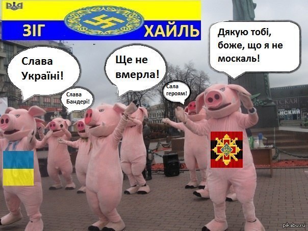 Свинобляди. Мемы с Украиной и свининьями.