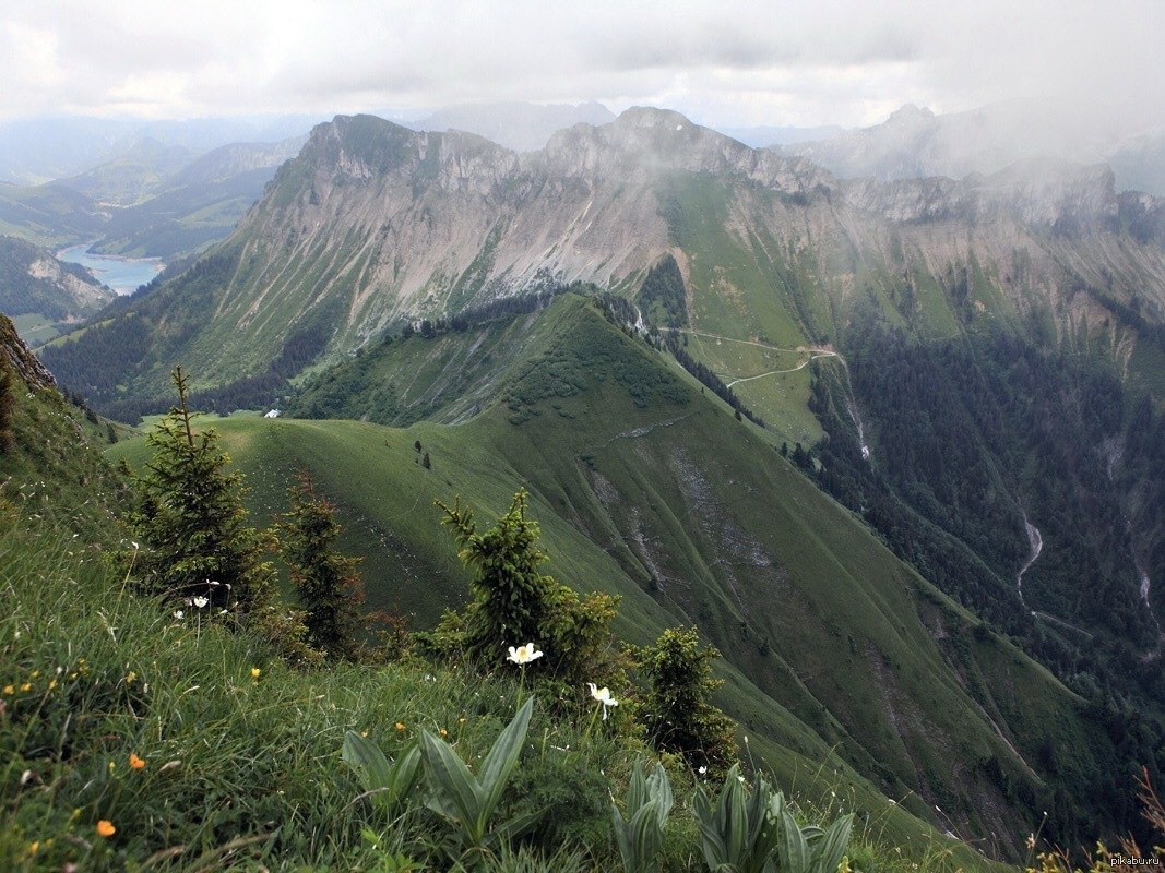 Mountain plants. Mountain place. Kikuyu Mountain places. Lanshapt.