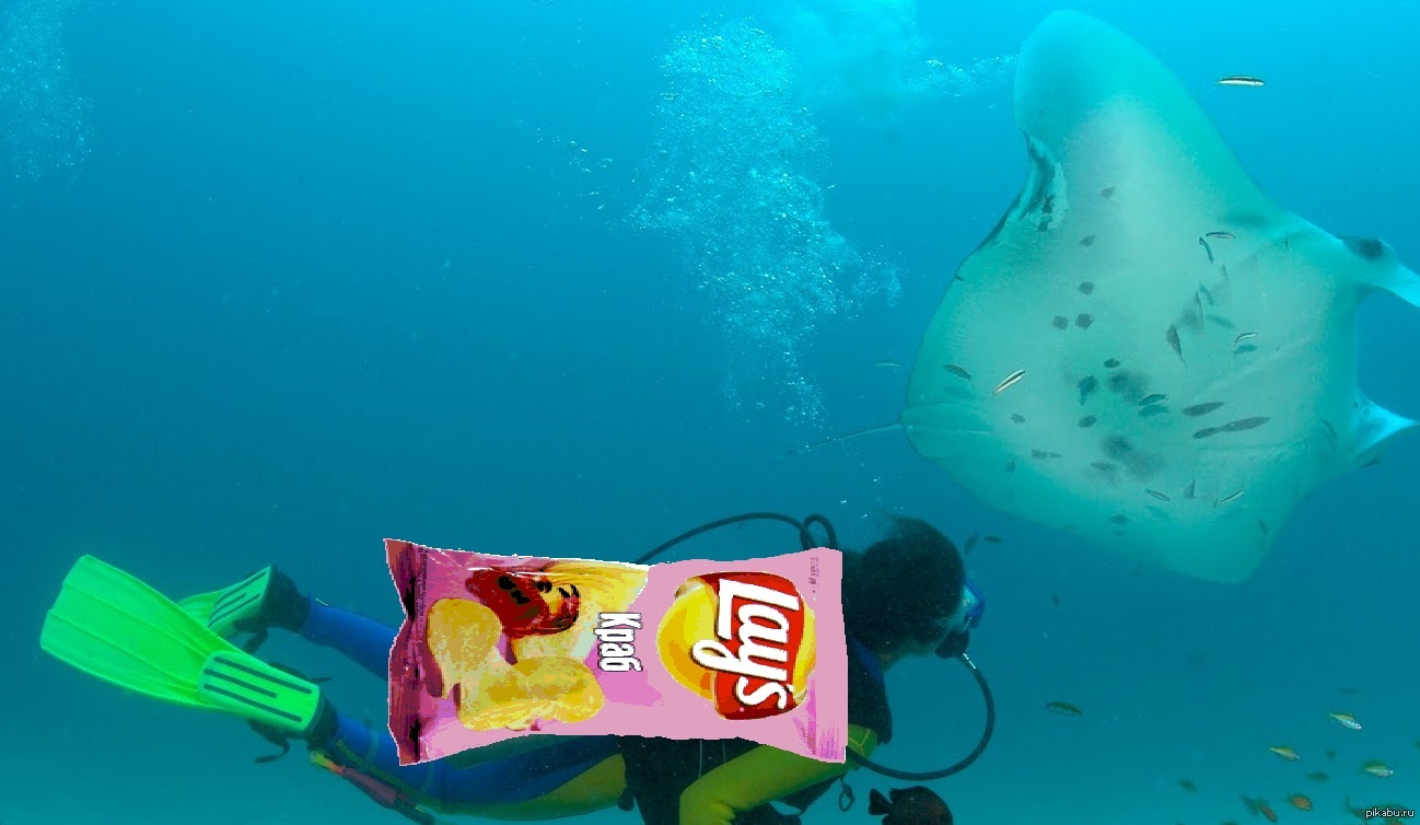 Типичный Lays | Пикабу