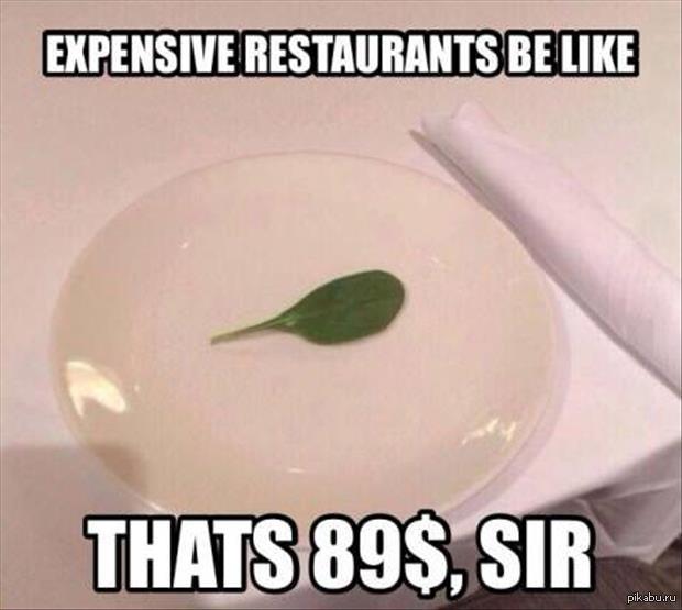 Would you like to order a minimalistic glass of water for $76? - A restaurant, Leaflet, Got sick, Stupidity, Sheet