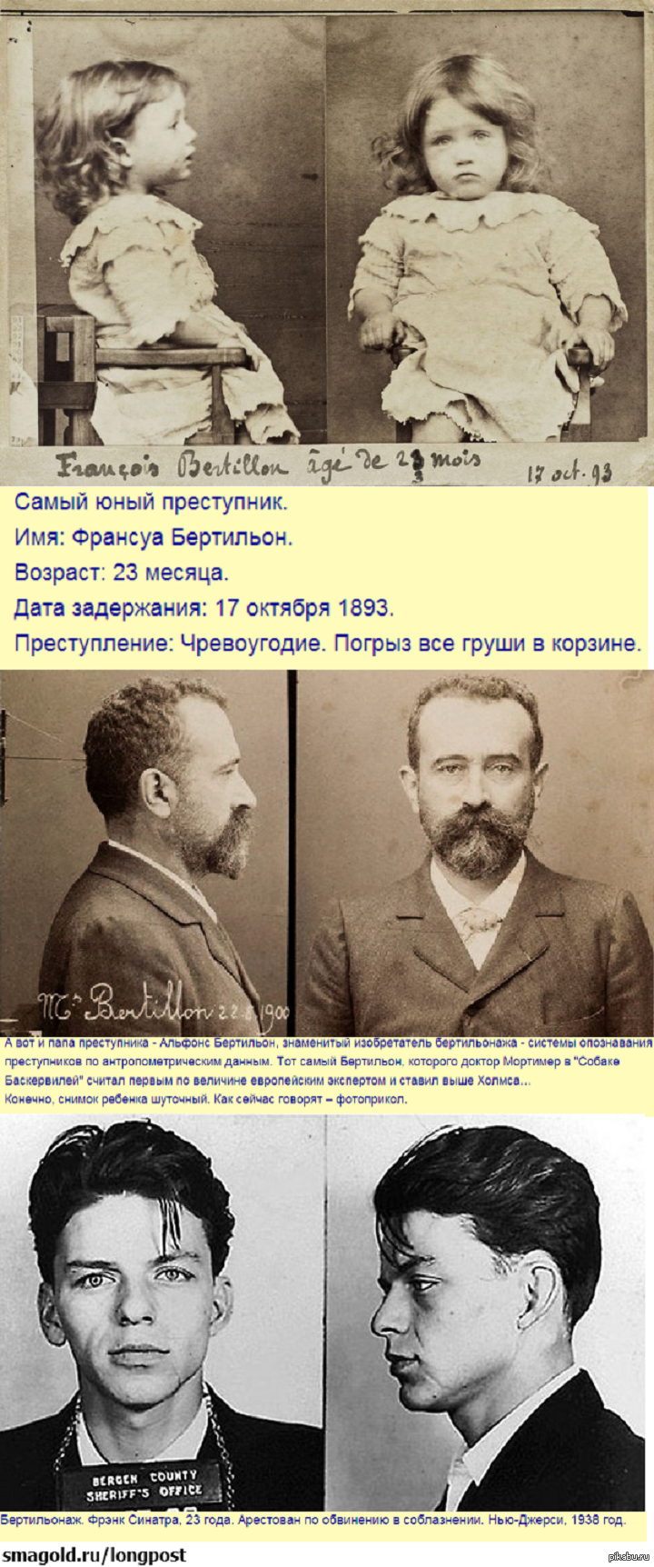 Яблоко от яблони... | Пикабу