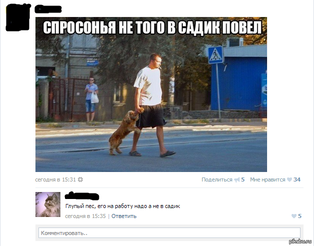 Спросонья Приколы