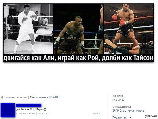 Давай долби меня. Цитаты про бокс. Цитаты боксёров со смыслом. Цитаты боксера смешные. Смешные фотоприколы про бокс
