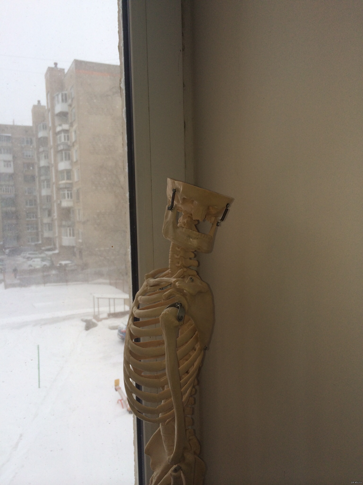 Эй, пацан | Пикабу