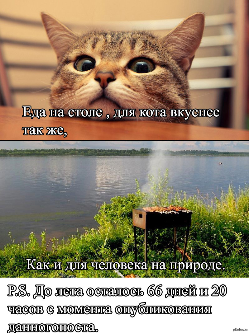 Факт. | Пикабу