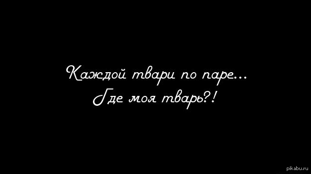 Каждой твари по паре откуда. Каждой твари по паре где моя тварь. Каждой твари по Харе. Картинка каждой твари по паре где моя тварь. Любимая тварь.