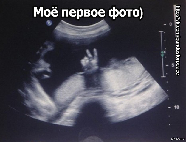 Peace) | Пикабу