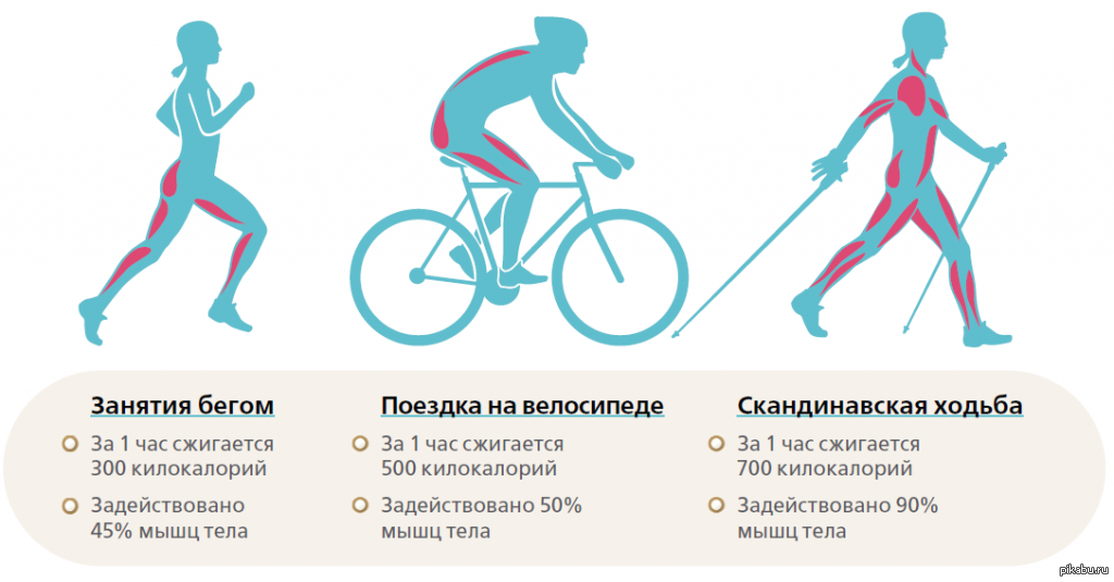 Бег 3 км калории. Сравнение бега и скандинавской ходьбы. Какие мышцы ног задействованы при езде на велосипеде. Мышцы задействованные при езде на велосипеде. Мышцы щадействованные притезде на велосипеде.