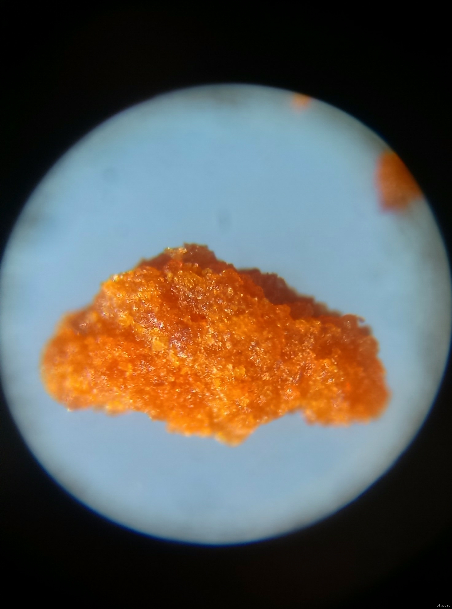 Красота в мелочах | Пикабу