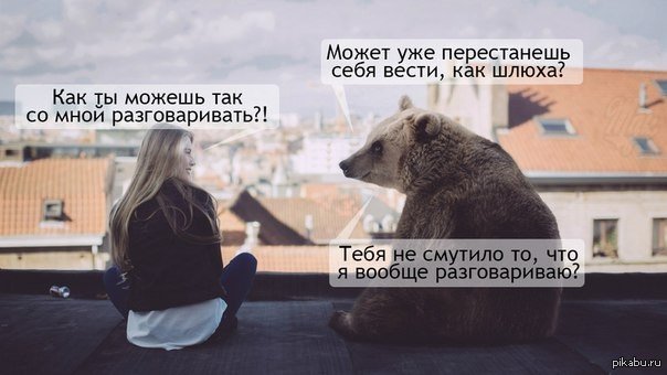 Категорично... | Пикабу