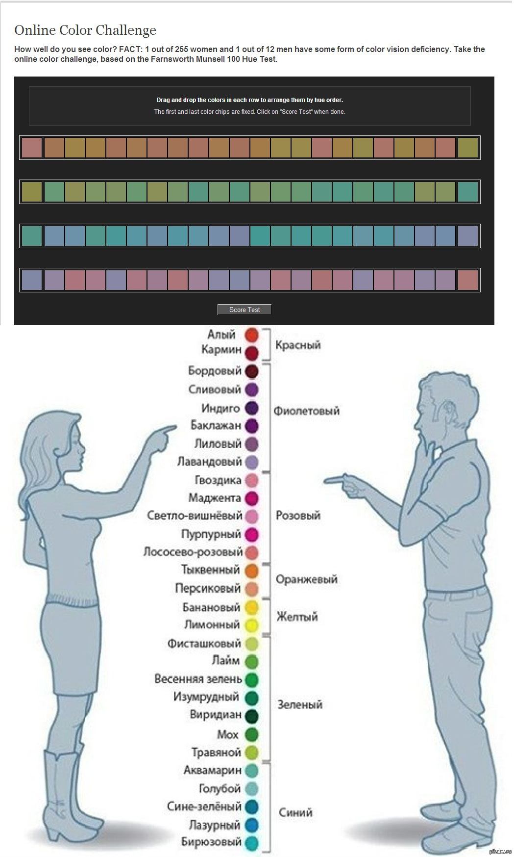 Как определить цвет человека. Различать цвета. Оттенки мужчина и женщина. Мужские и женские цвета. Восприятие цветов мужчинами и женщинами.