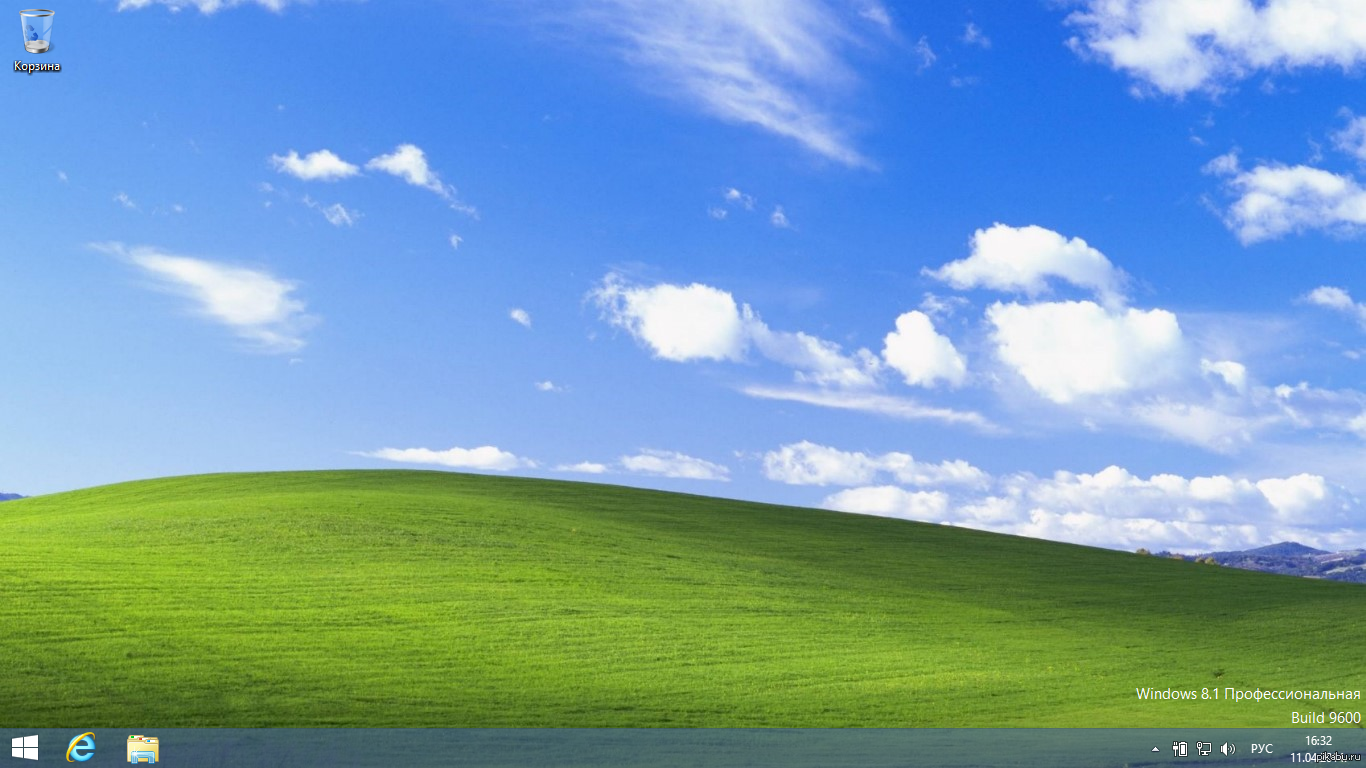 Картинка заставка Windows 8.1 цветы ромашки на голубом фоне