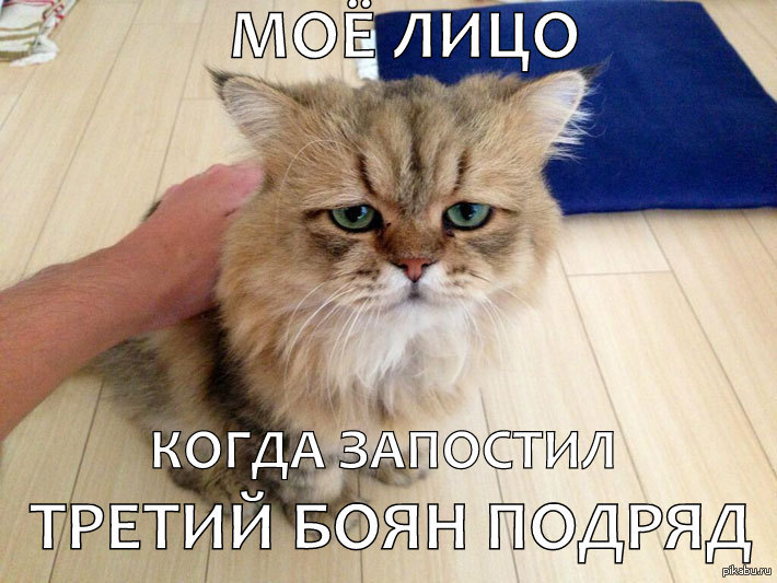 Обиженный кот мем