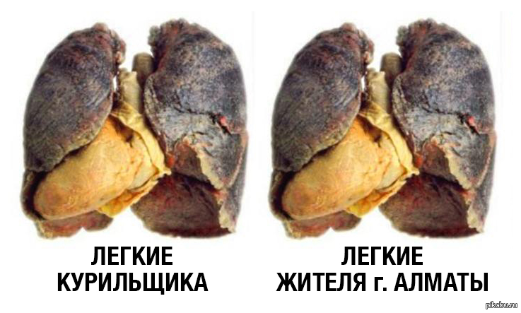 Подходит множеству мегаполисов | Пикабу