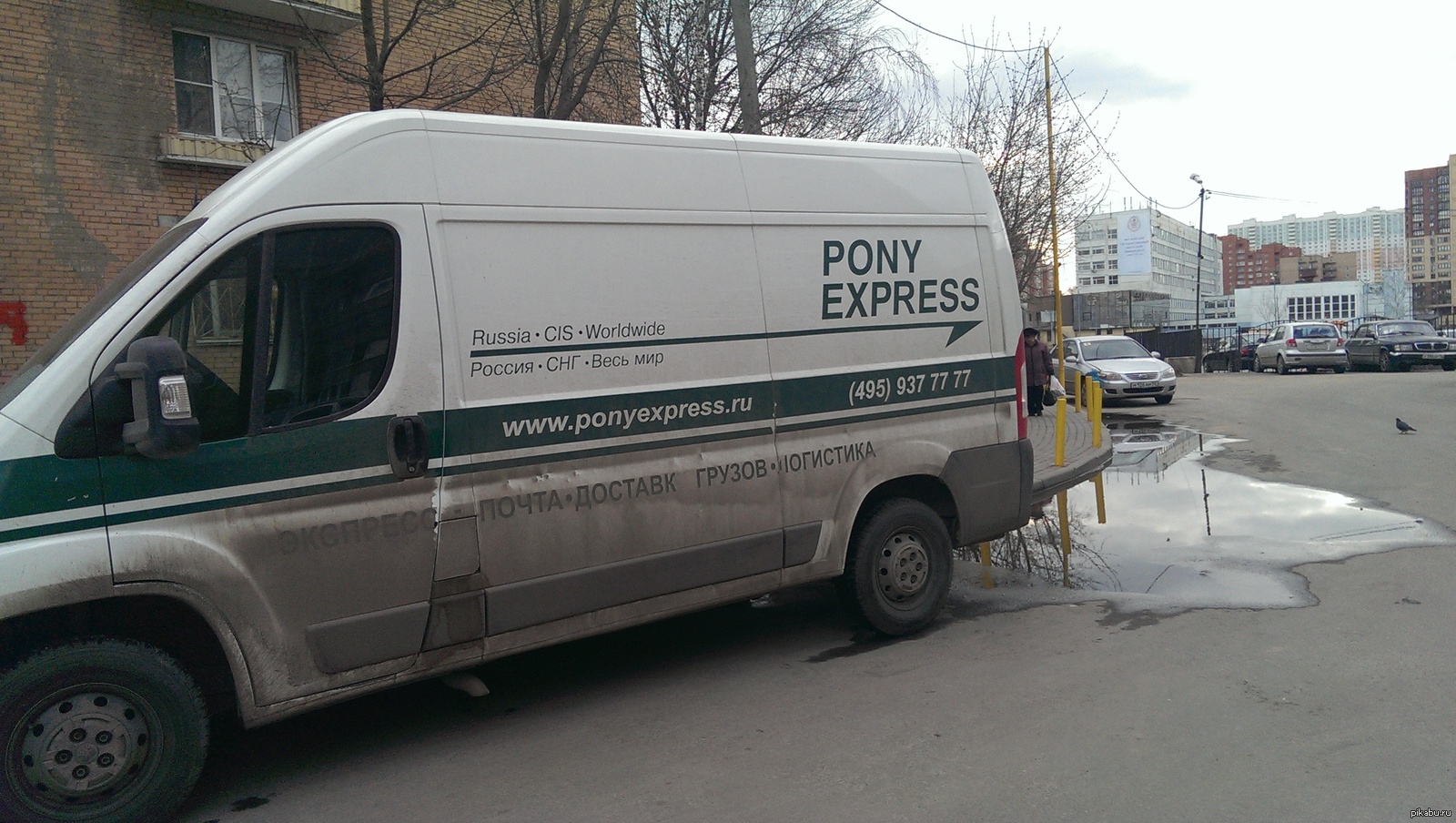 Доставка pony. Пони экспресс. Pony Express машины. Пони экспресс авто. Pony Express логотип.