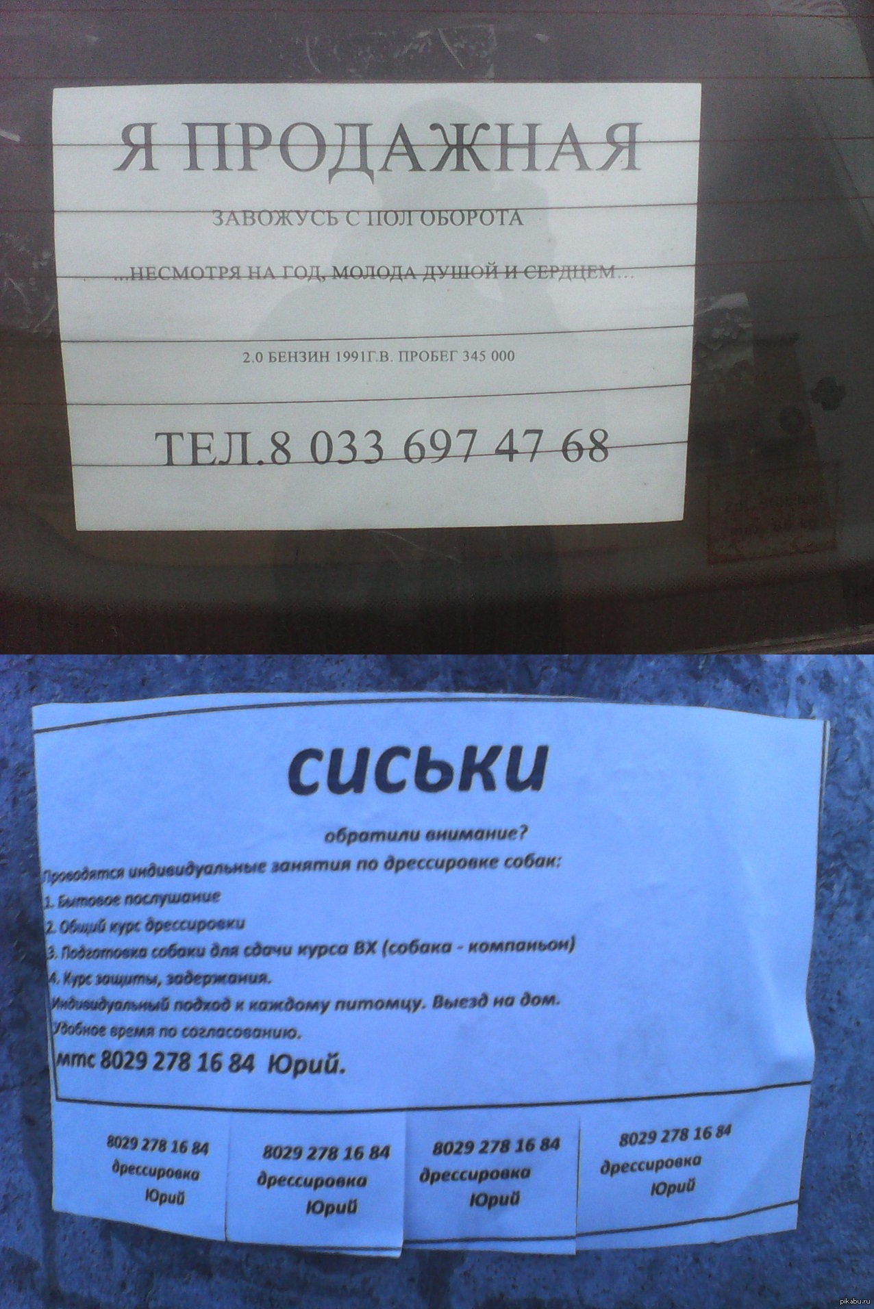 Боги маркетинга в Минске | Пикабу