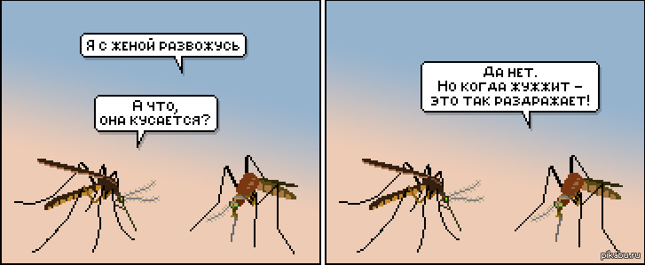Мухи комары целый день жужжат. Комары юмор. Приколы про комаров. Комары комикс. Анекдоты про насекомых.