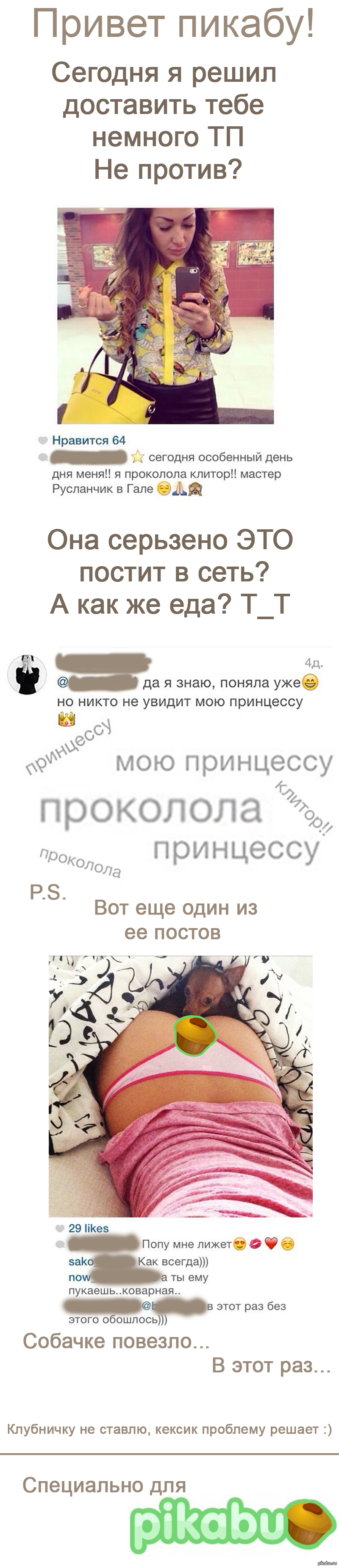 Новые тренды в instagram | Пикабу