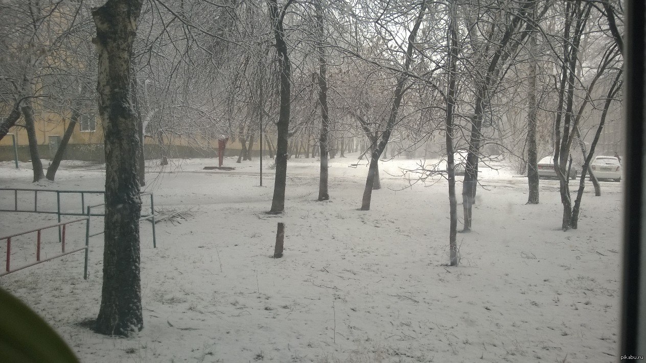 "Весна" пришла... | Пикабу