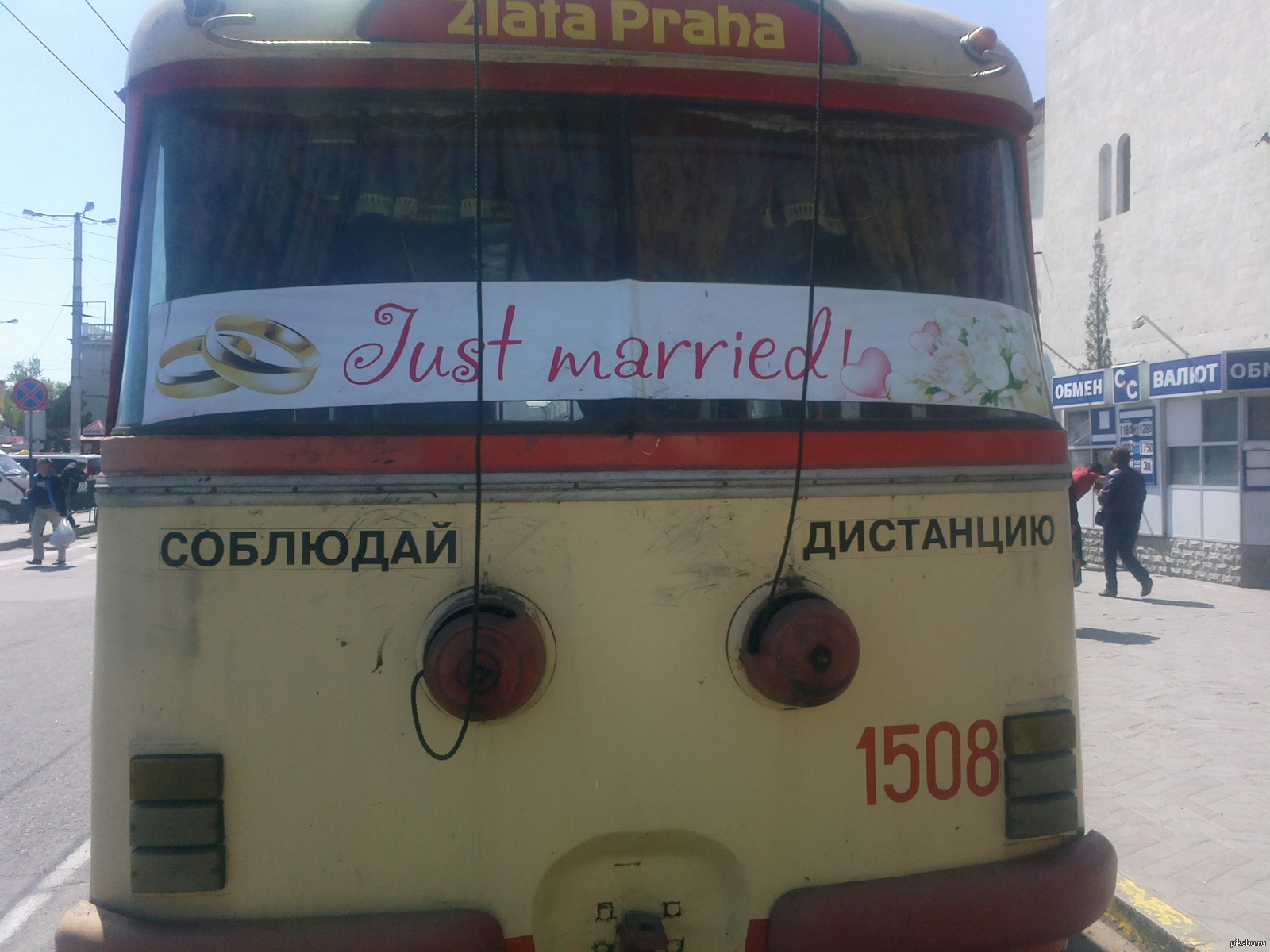 Just married! | Пикабу