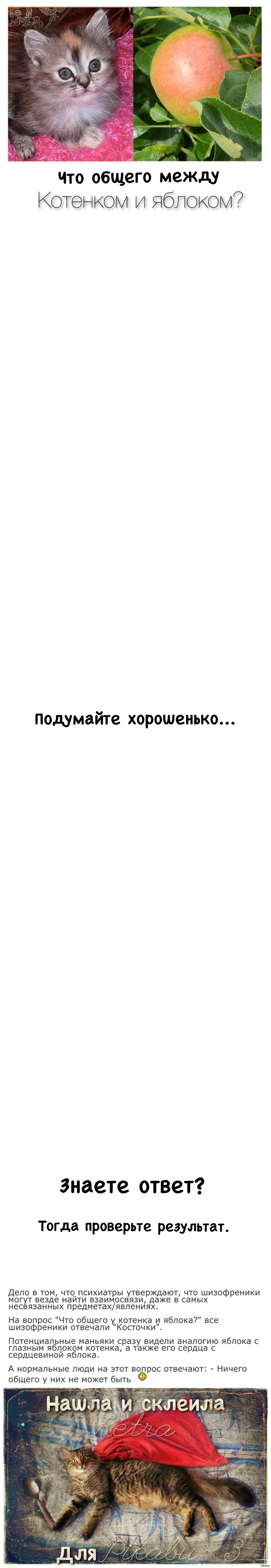 Что общего между котенком и яблоком? | Пикабу