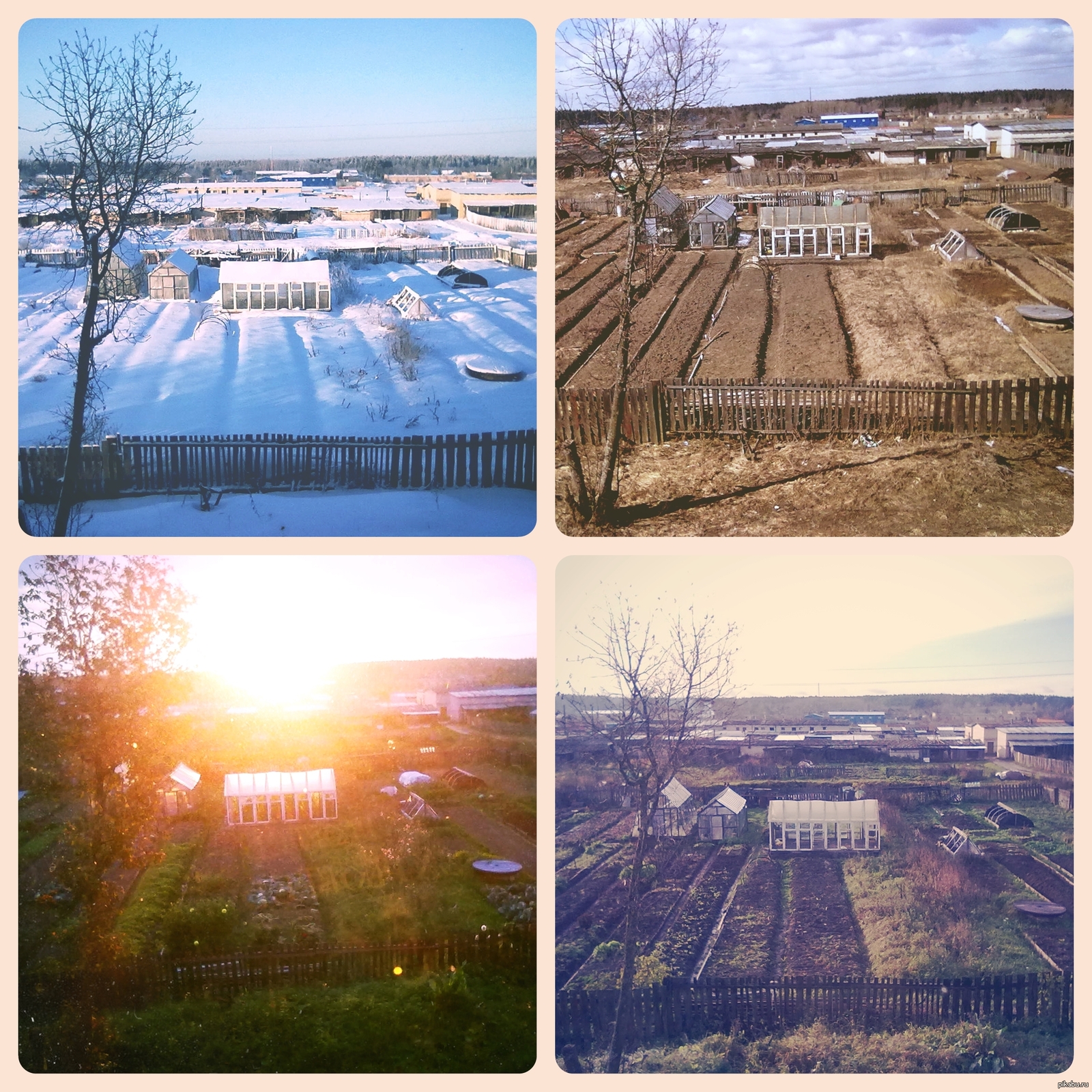 Времена года | Пикабу