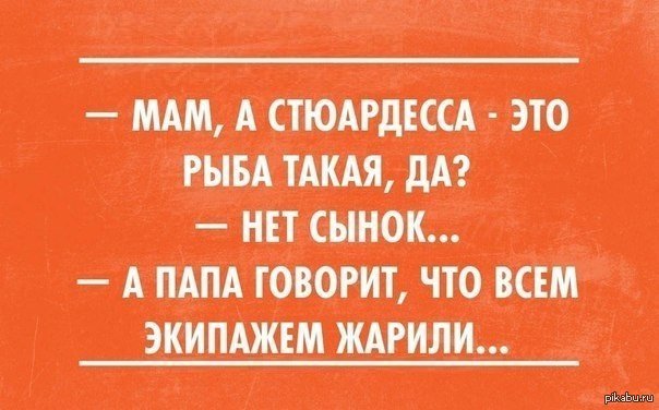 Папа сказал. Анекдот про стюардессу. Шутки про стюардесс. Смешные фразы про стюардесс. Мама а стюардесса это рыба.