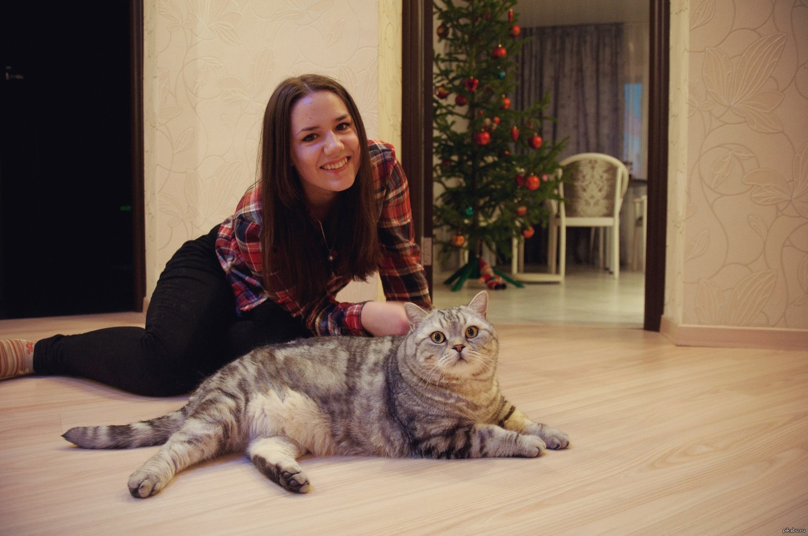 Девушка сосет у кота Девушка сосет у кота