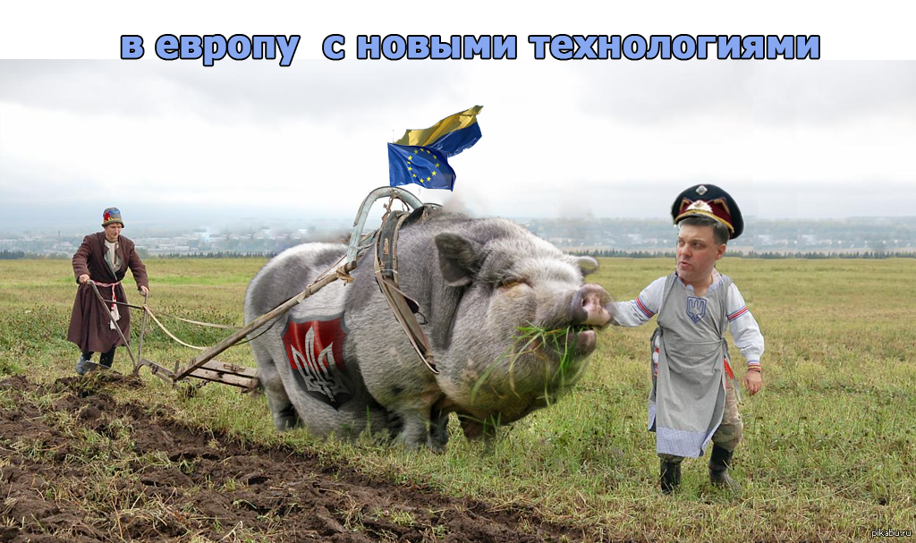 Че це. Смешные картинки про украинцев. Украинцы юмор.