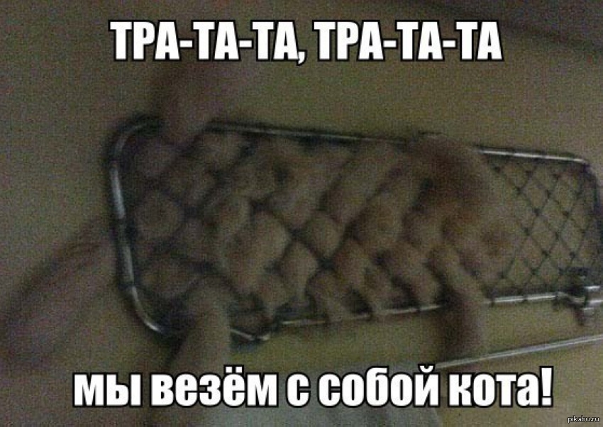 Тра та та. Тратата мы везем с собой кота. Тра та та тра тата мы везем с собой кота. Та та та та та та мы везем с собой кота. Тра-та-та-та-та-та-та мы везем с собой кота.