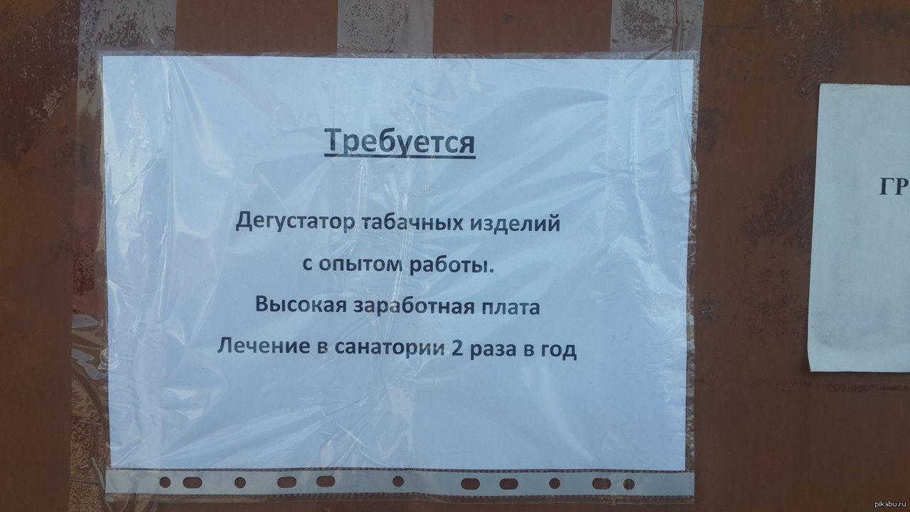 Вот такой приём на работу,на 5 базу,у нас в Рязани...))) | Пикабу