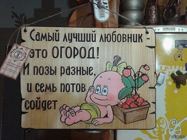 Открытки про огород прикольные, смешные