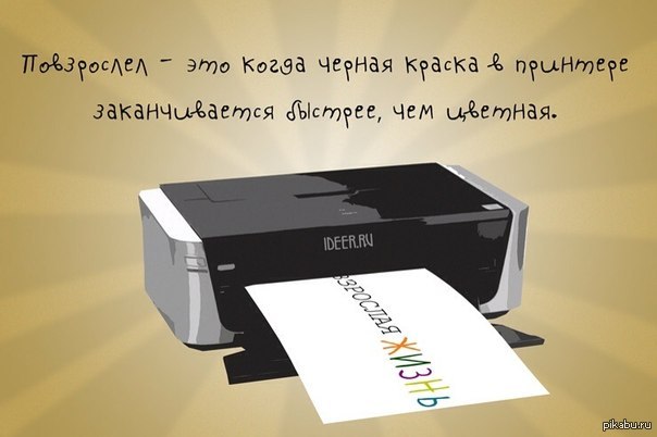а ведь правда | Пикабу