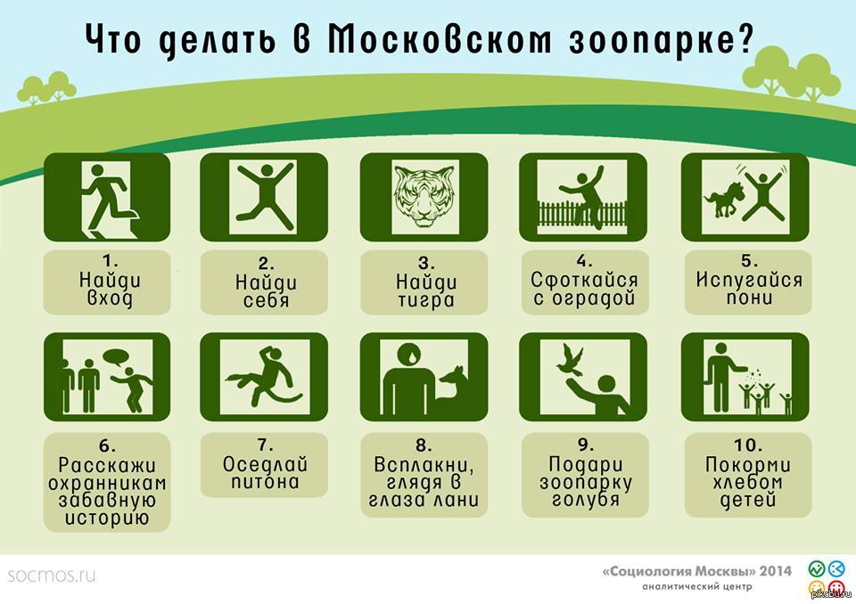 Зоопарк скидка. Что можно делать в зоопарке. Чтомодно делать в зоопарке. Чтоинельзя делать в зоопарке. Что нельзя делать в зоопарке правила.