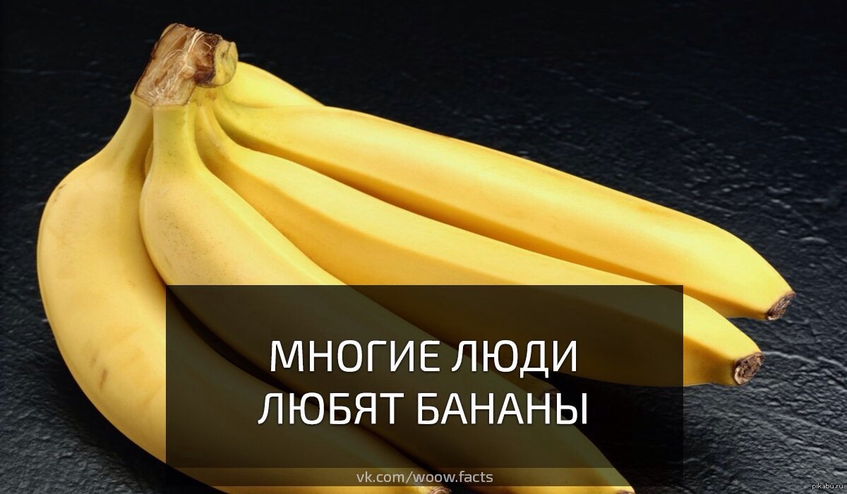 Действительно | Пикабу