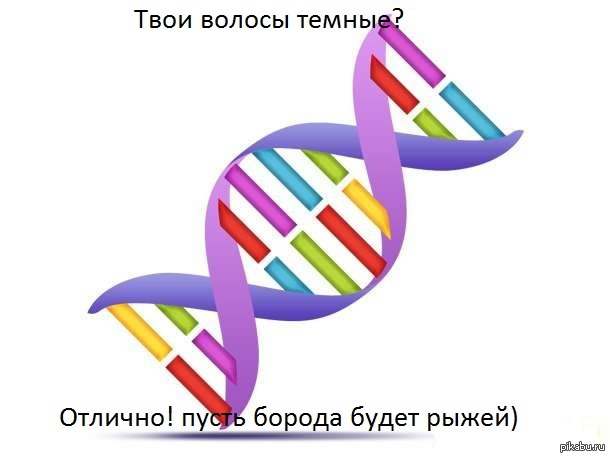 Again, genetics - My, Genetics, Beard, DNA, Hair