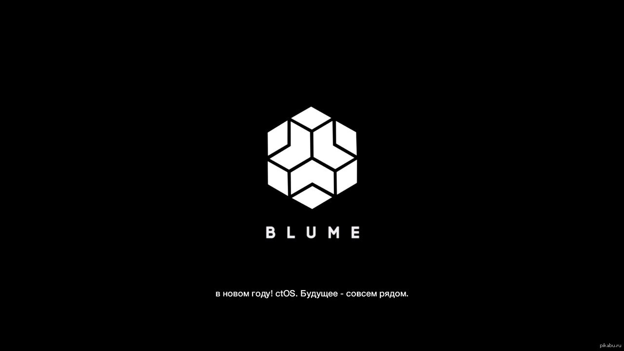 Blum догс. Blum догс