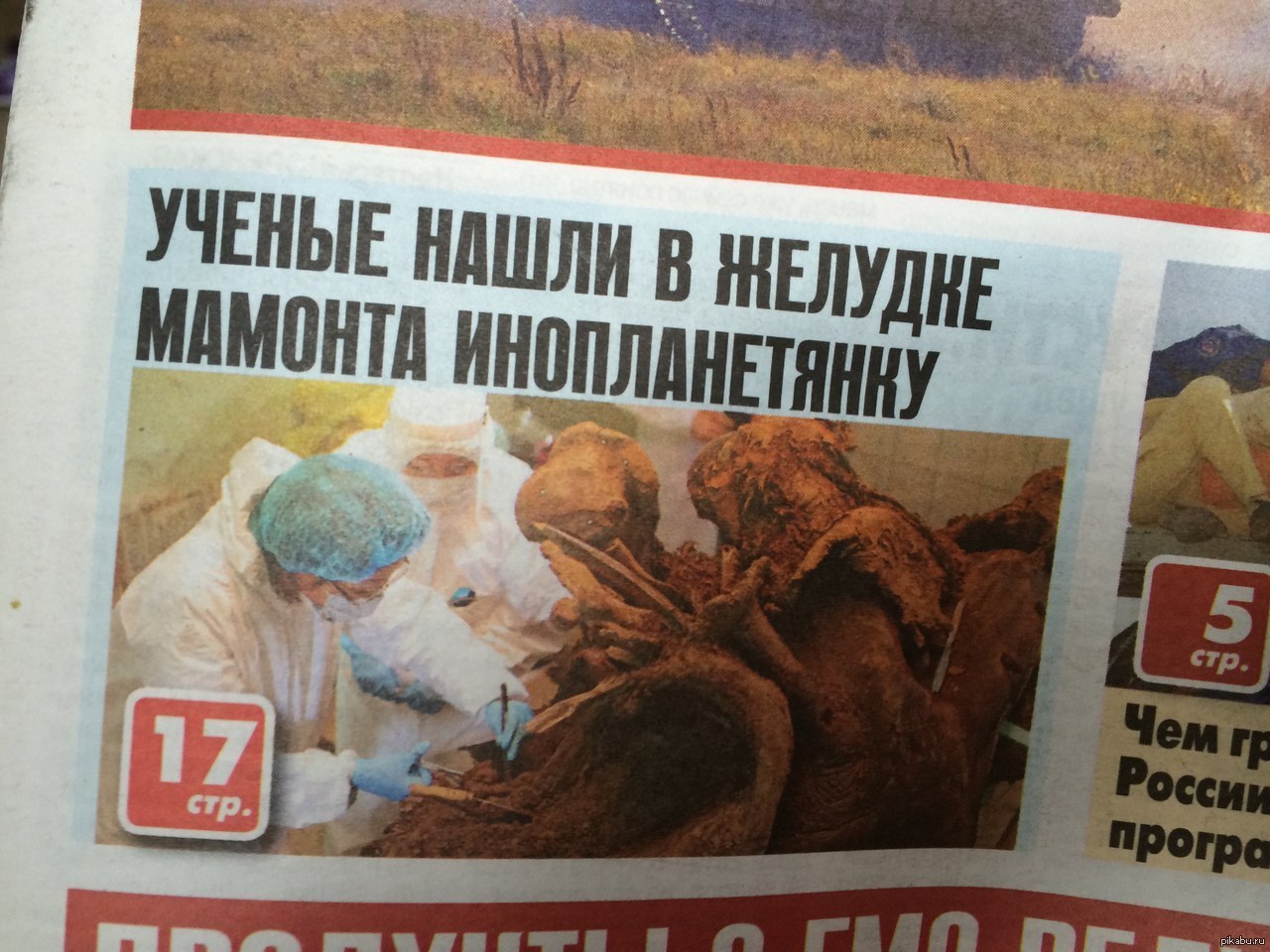 На РЕНтв | Пикабу