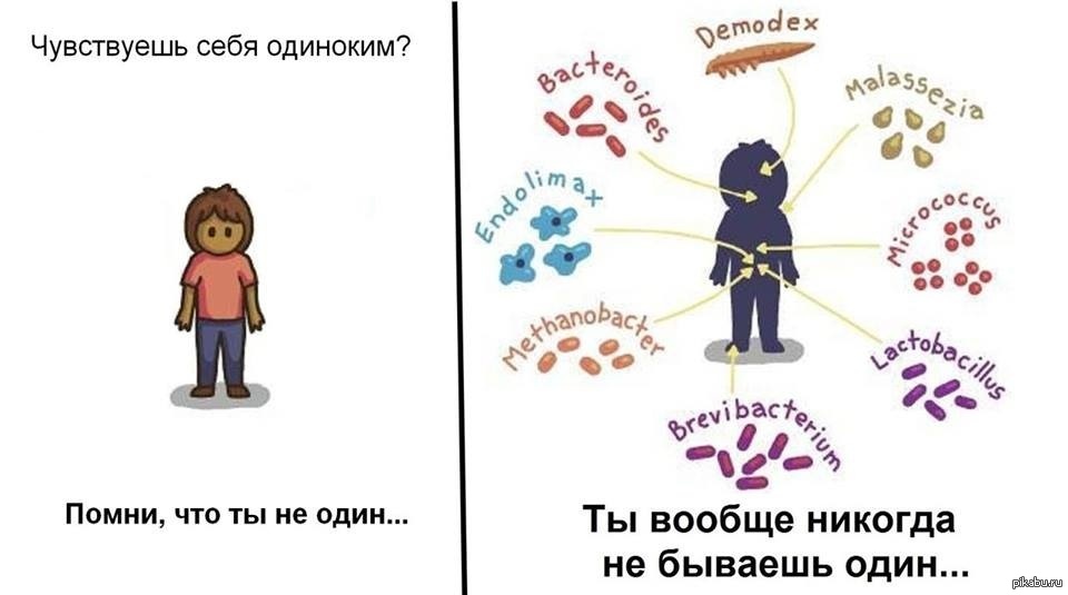 Одиночества больше нет | Пикабу