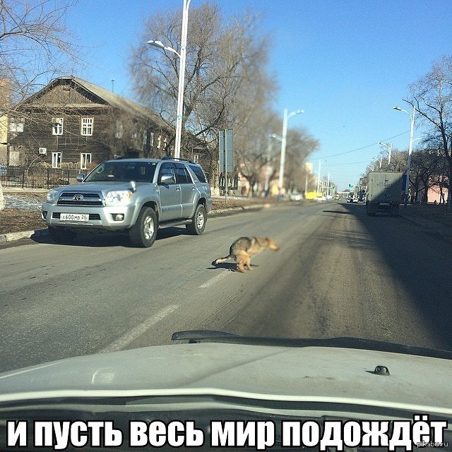 
Приколы Новые Смешные