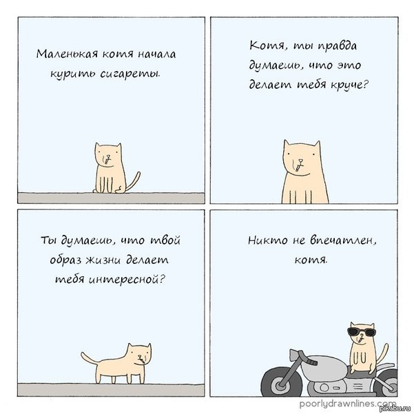 When your cat is cooler than you - cat, Images, Poorly Drawn Lines