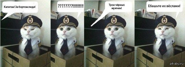 Кот Матрос Картинки