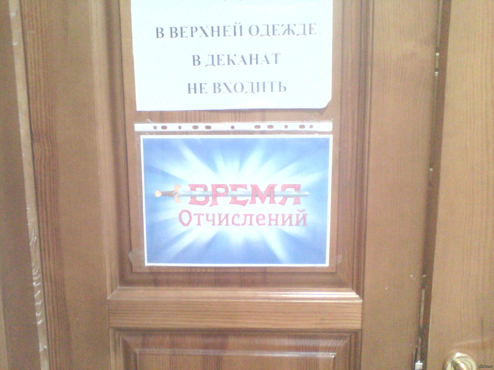 Вы отчислены картинка