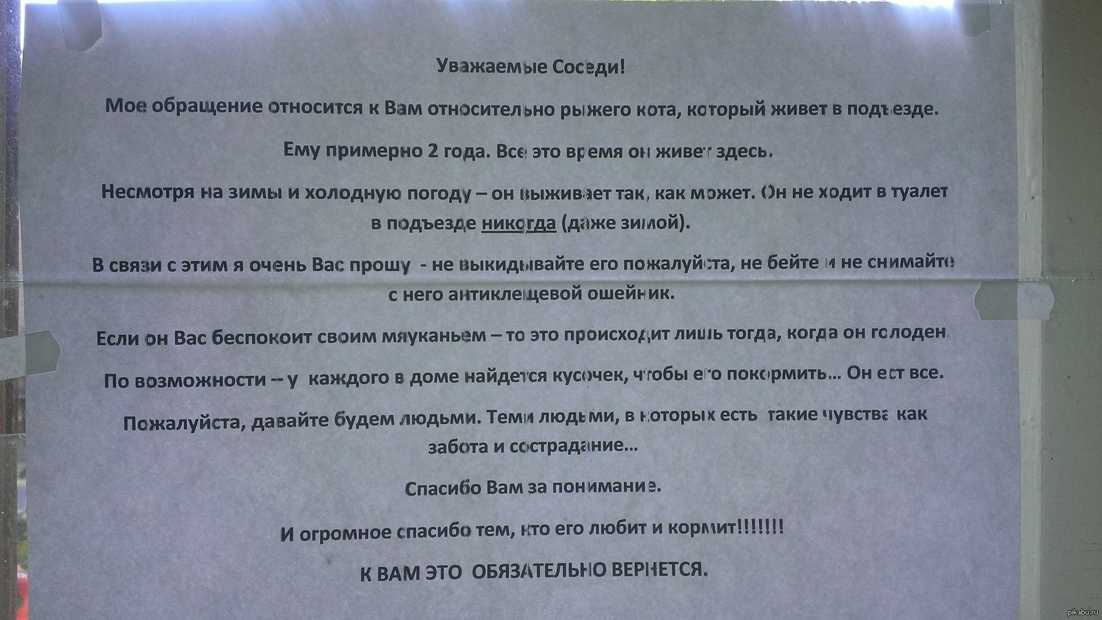 Соседи не живут в квартире. Объявление не кормить кошек в подъезде. Объявление про кошек в подъезде. Кормление кошек у подъезда. Объявление по кошкам в подъезде.