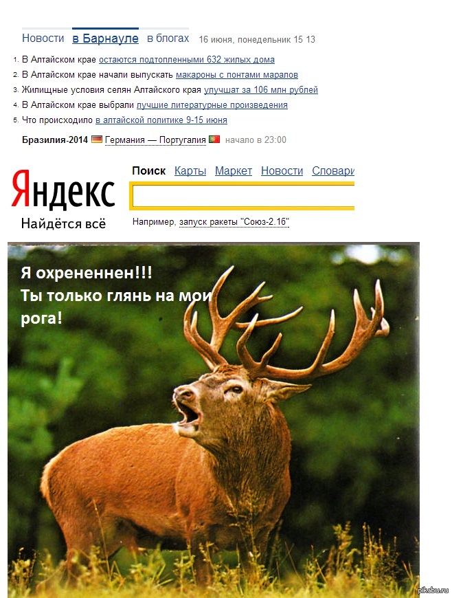 ПОНТЫ МАРАЛА | Пикабу