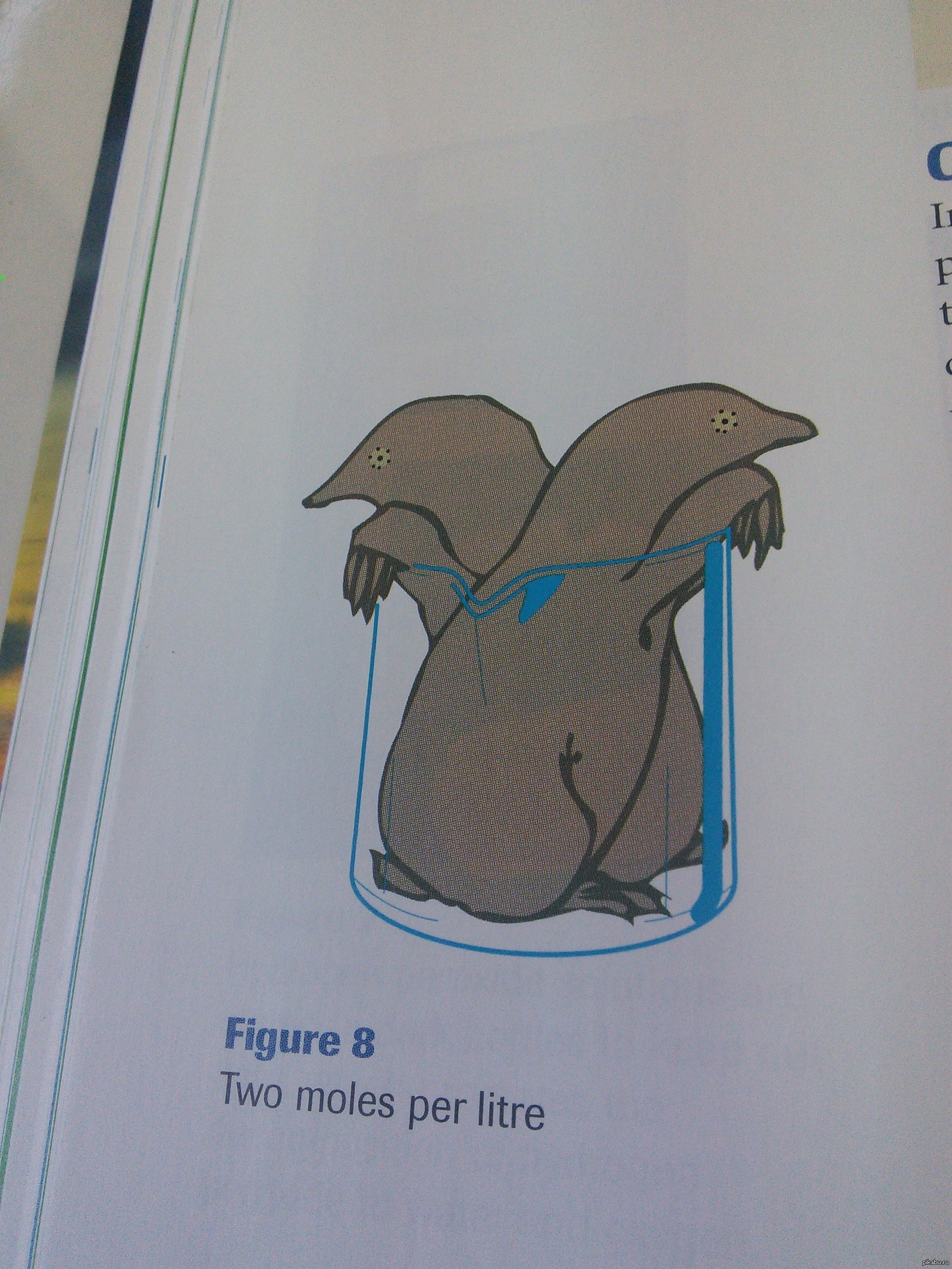 Химики шутят | Пикабу