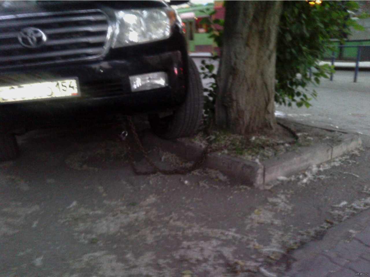 To not run away - My, Lc200, Land cruiser, Tree, Novosibirsk, Toyota Land Cruiser