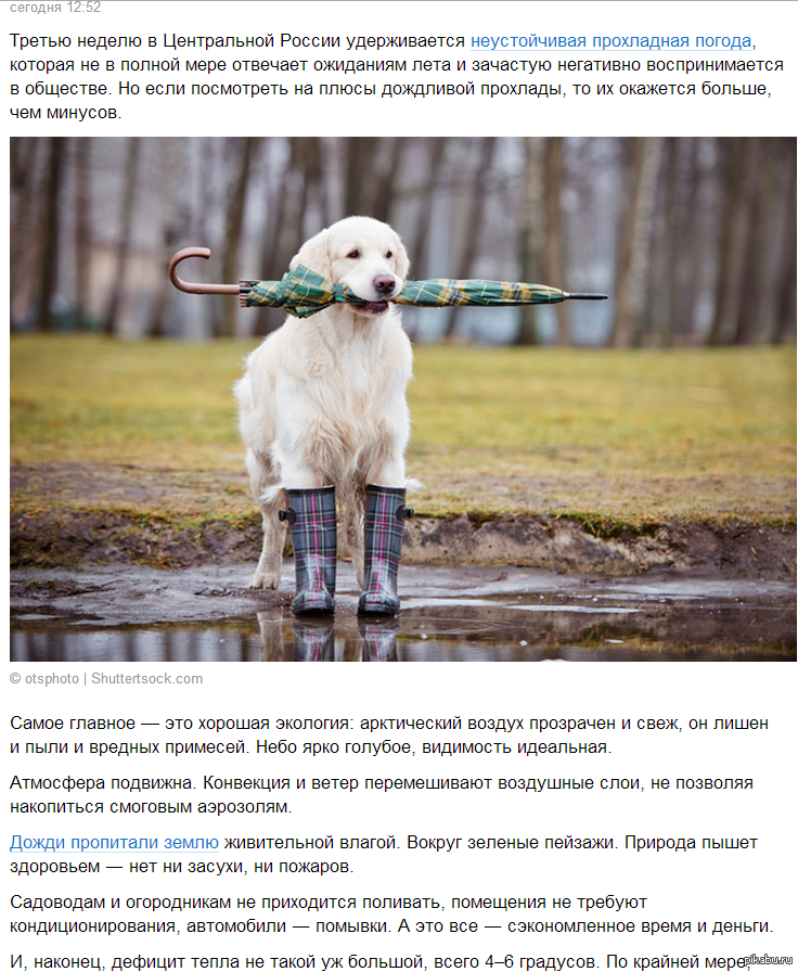 Gismeteo оправдывает плохую погоду | Пикабу