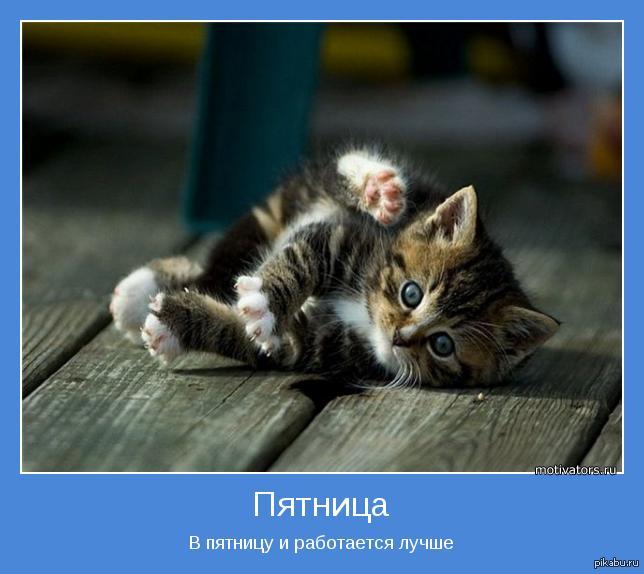Пятница | Пикабу